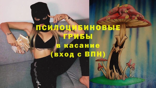 трава Абинск