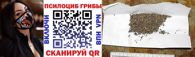 Псилоцибиновые грибы ЛСД гидра как зайти Староминская